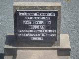 image of grave number 929784